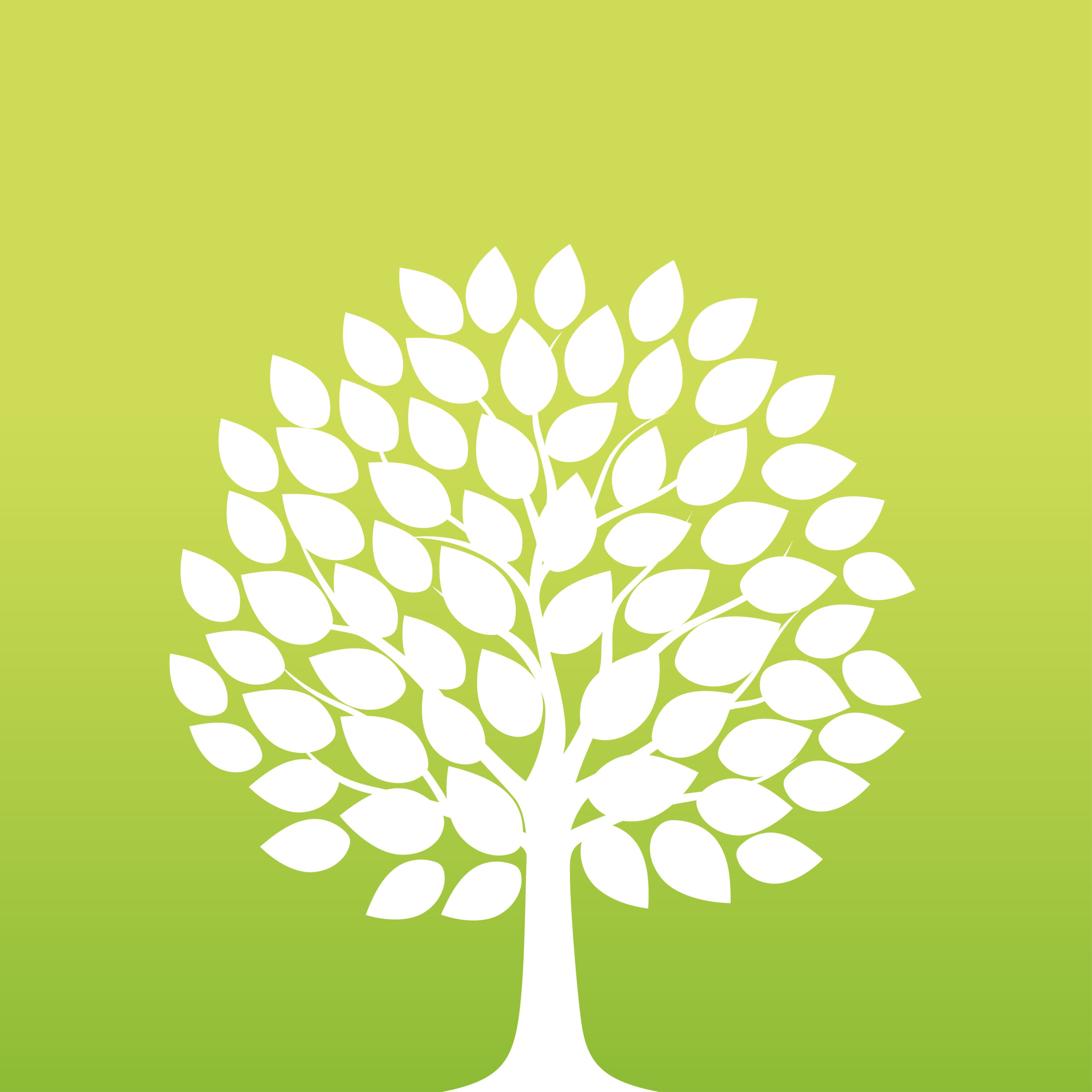 Peymeinade Naturellement 2026