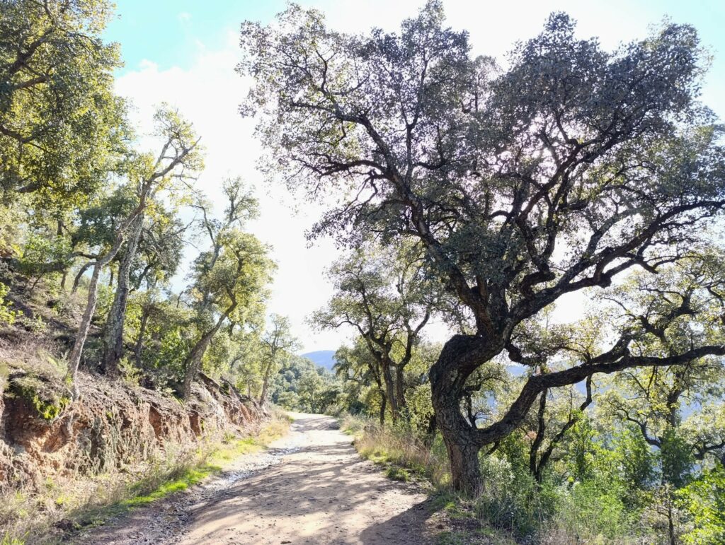 Balade de Peygros à Peymeinade